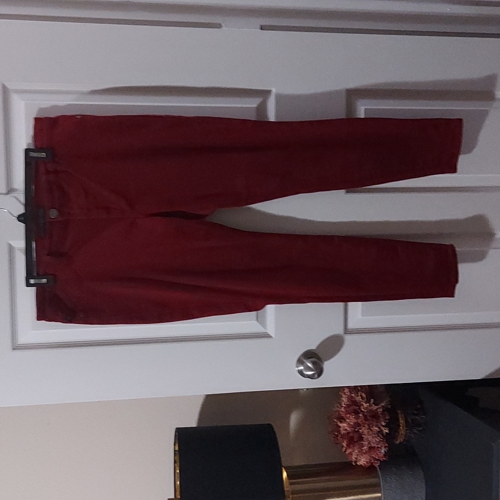Beautiful NWOT Rock & Republic Skinny Jeans